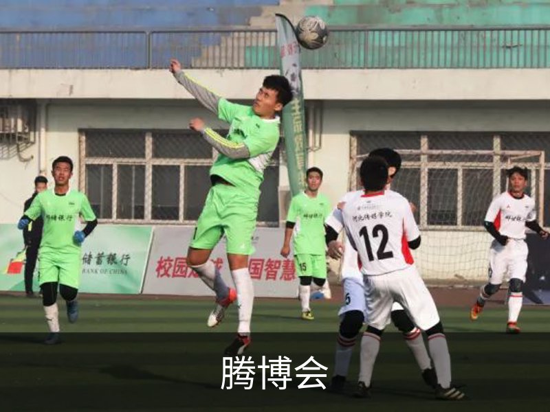 关于腾博会